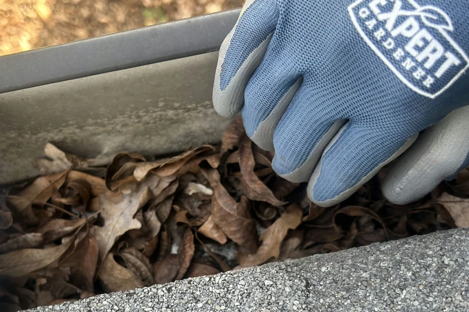 Plandome Gutter Cleaning