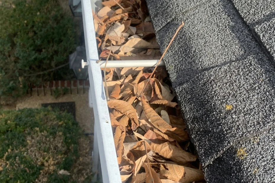 Plandome Gutter Cleaning